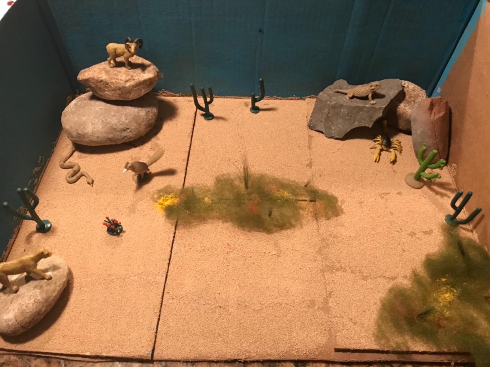 Woodland Scenics SP4124 Desert Plants Diorama Kit customer photo 2