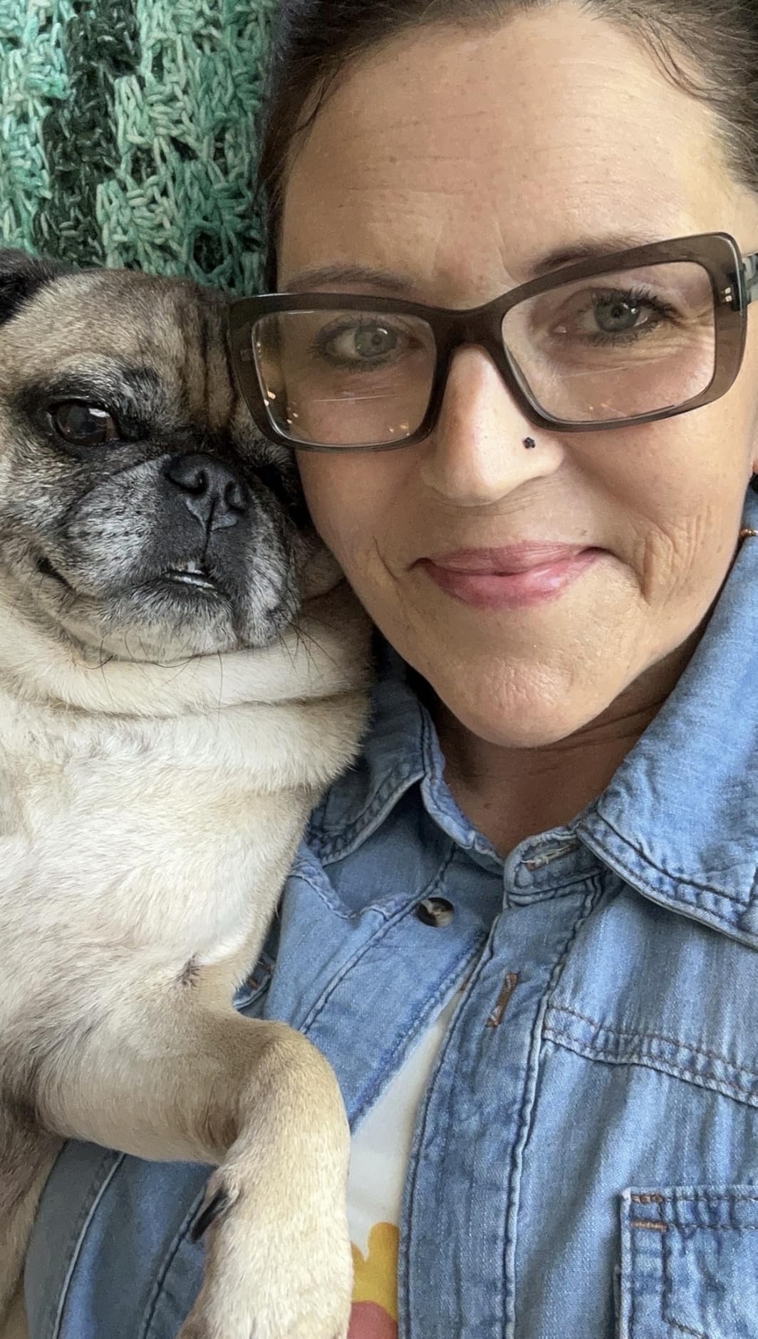 Perfect Petzzz Original Petzzz Huggable Pug Puppy, Realistic, Lifelike Stuffed Interactive Pet Toy, Companion Pet Dog with 100% Handcrafted Synthetic Fur customer photo 1