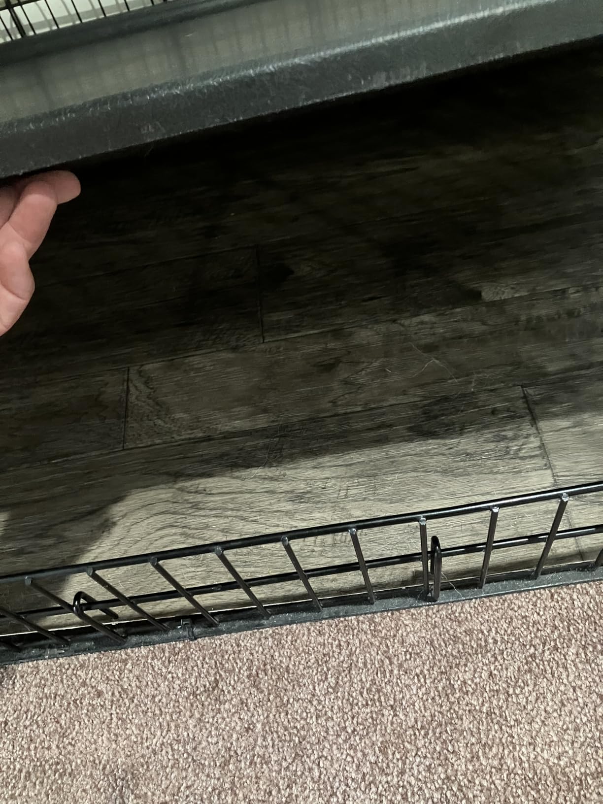 MidWest Homes for Pets 42-Inch iCrate for Large Breeds, 71-90 lbs, Double Door Folding Dog Crate with Divider Panel, Leak-Proof Tray & Secure Latches, Portable, Durable & Easy to Assemble customer photo 2