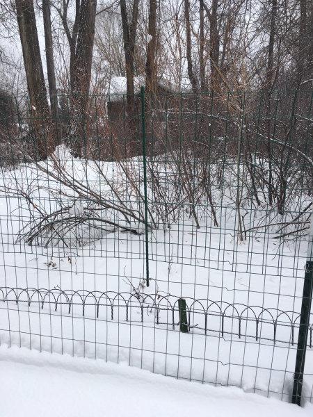 YARDGARD - 2 in. x 3 in. Mesh Welded Wire Fence - 36 in. x 50 ft. 16-Gauge Vinyl Coated Galvanized Steel - for Animal Enclosures | Garden Protection | Property and Utility Fencing customer photo 1