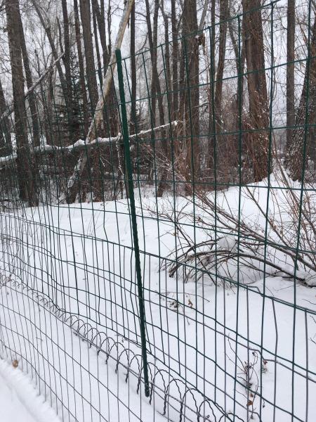 YARDGARD - 2 in. x 3 in. Mesh Welded Wire Fence - 36 in. x 50 ft. 16-Gauge Vinyl Coated Galvanized Steel - for Animal Enclosures | Garden Protection | Property and Utility Fencing customer photo 2