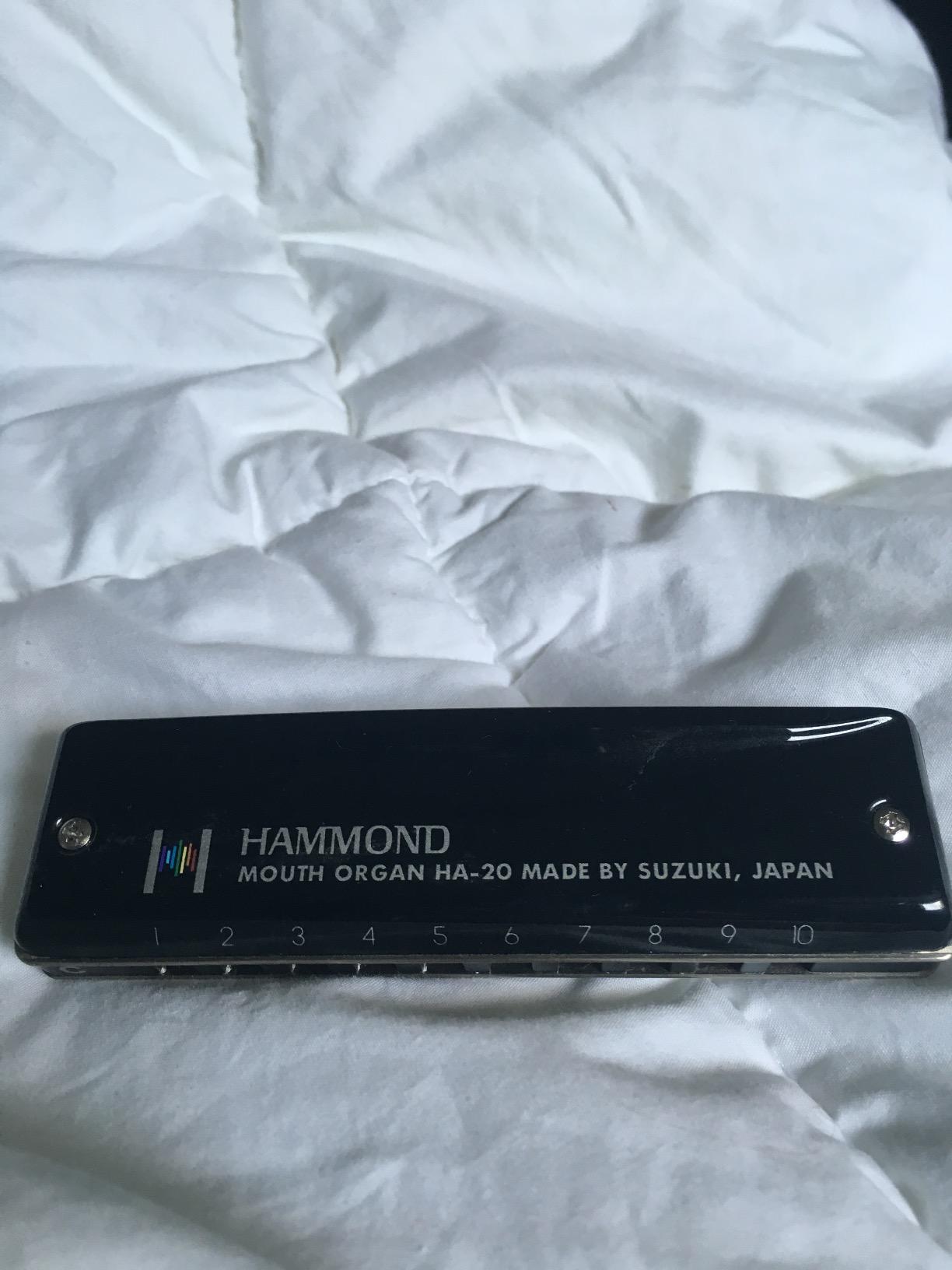 Suzuki Harmonica (HA-20-C) customer photo 1