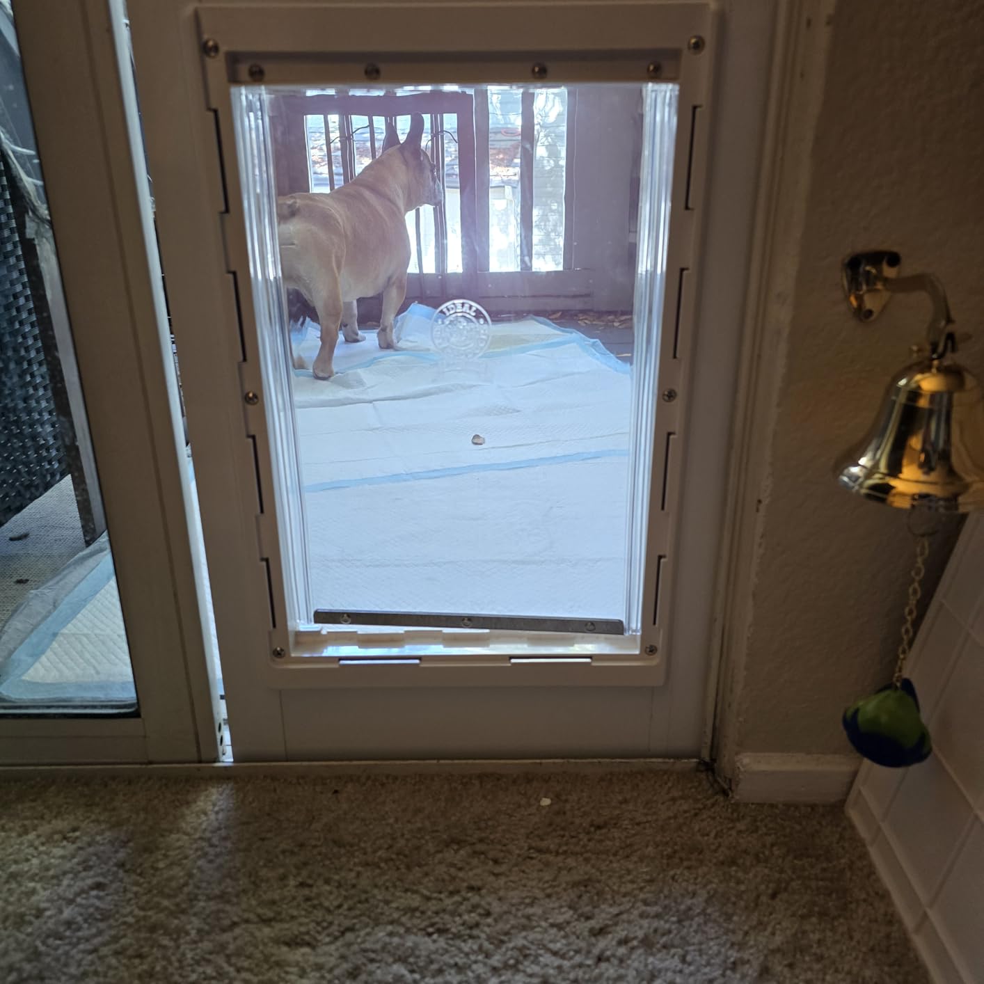 Ideal Pet Products Aluminum Pet Patio Door, Adjustable Height 77-5/8