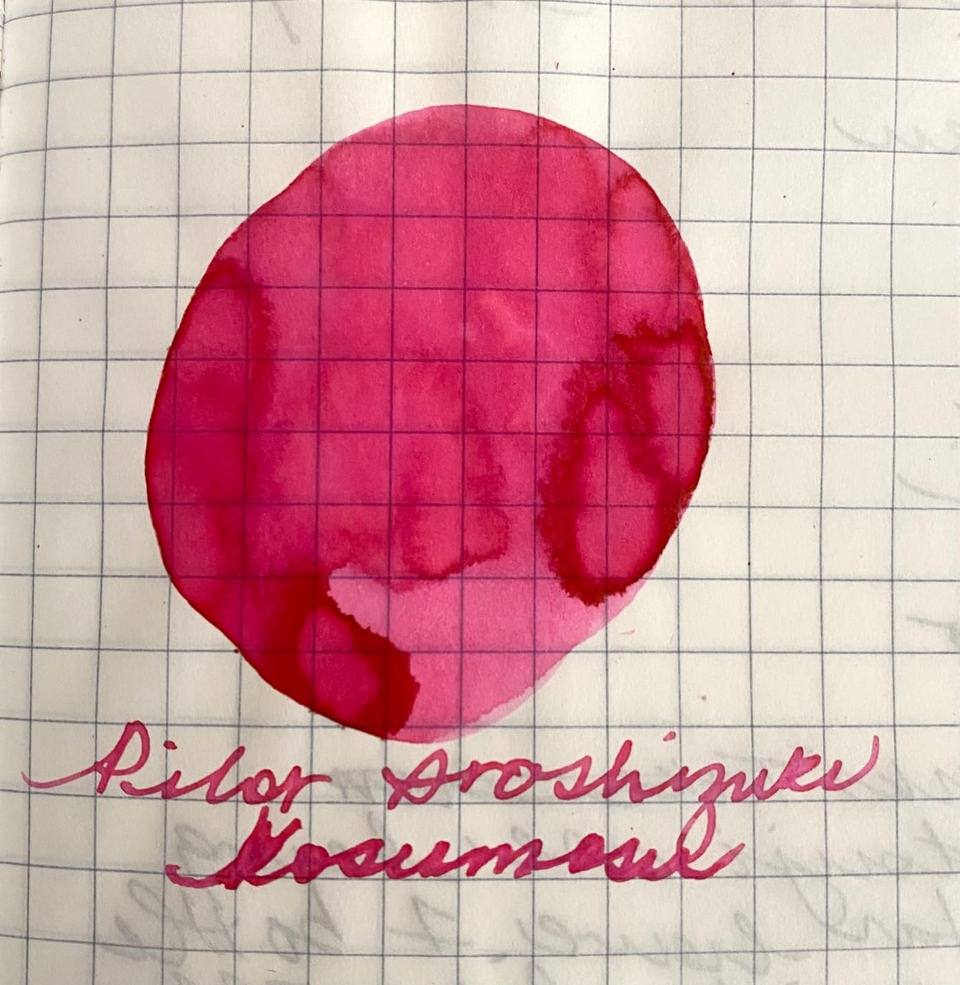 Pilot Iroshizuku Fountain Pen Ink - 50 ml Bottle - Kon-peki Deep Azure Blue customer photo 2