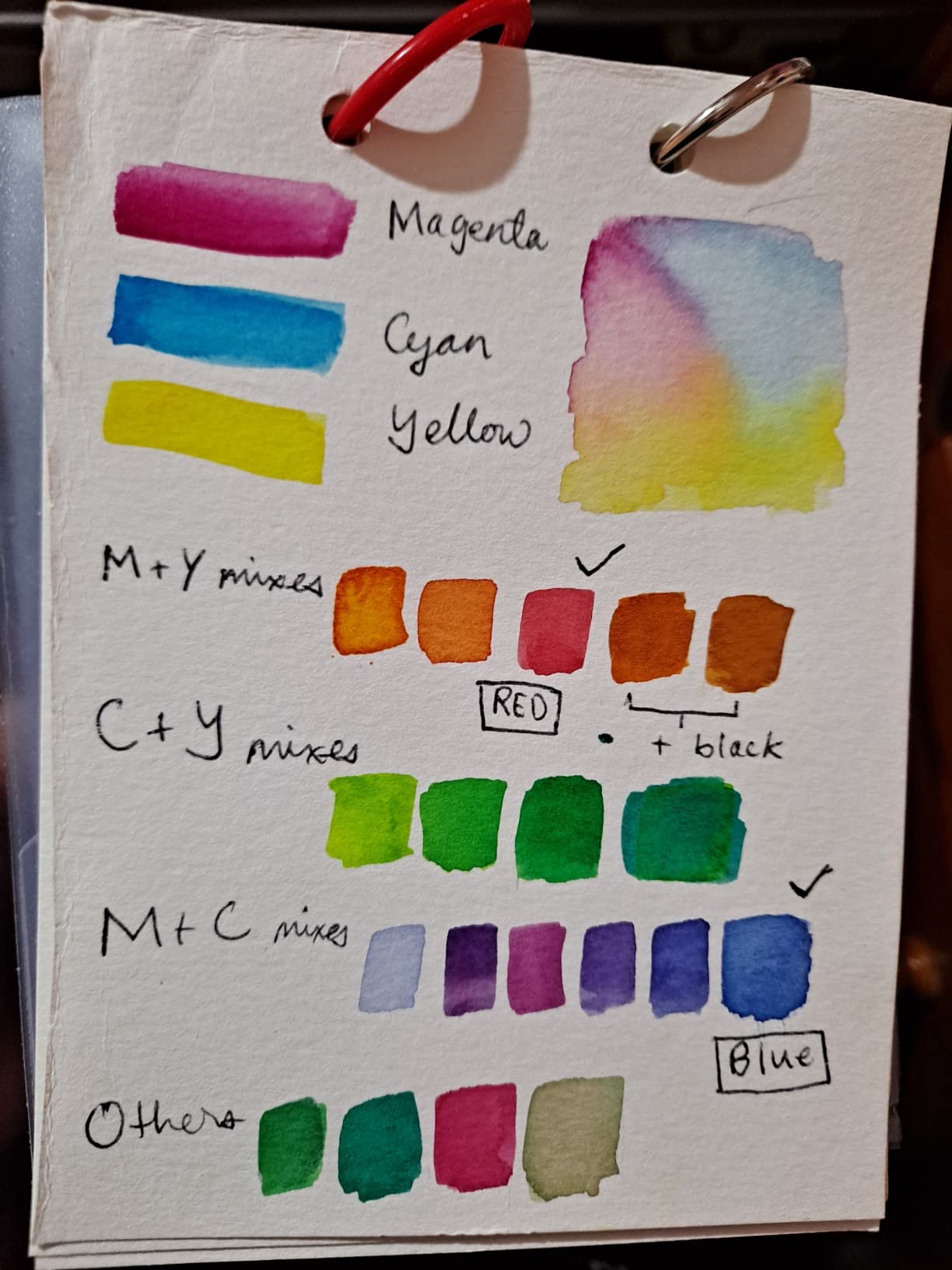 5 Primary Colors Set Holbein Gouache (Japan Import) customer photo 1