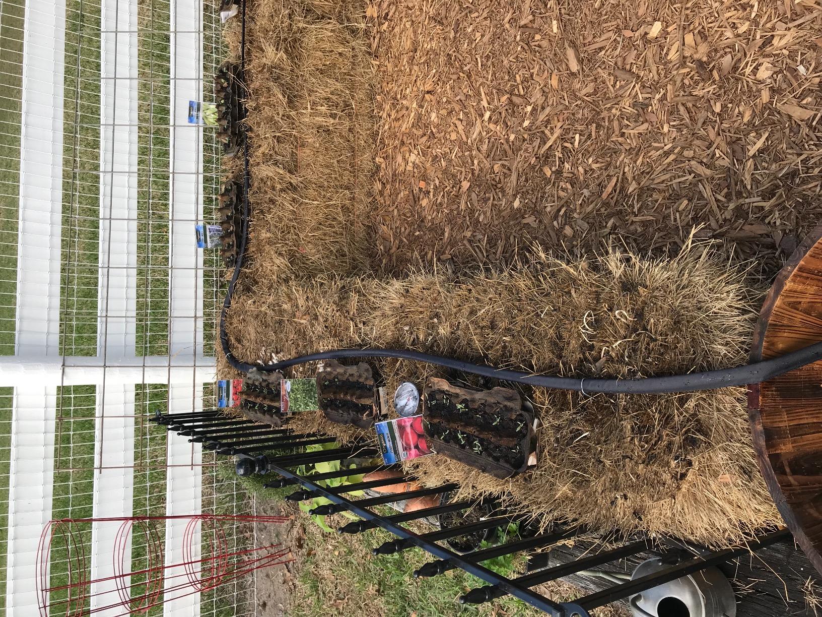 Gilmour 50' Black Flat Weeper Soaker Hose for Garden Beds, Drip Irrigation Outdoor Hose, Flexible Garden Hose for Vegetable Gardens, Flower Beds, Lawns, and Orchards customer photo 1