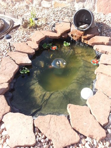 Koolscapes 84 Gallon Starter Pond Kit with 200 GPH Pump, Water Bell and Double Daisy Fountain Nozzles, 6 x 6 Ft Flexible Liner, Fish-Friendly Backyard Koi Pond Kit customer photo 2