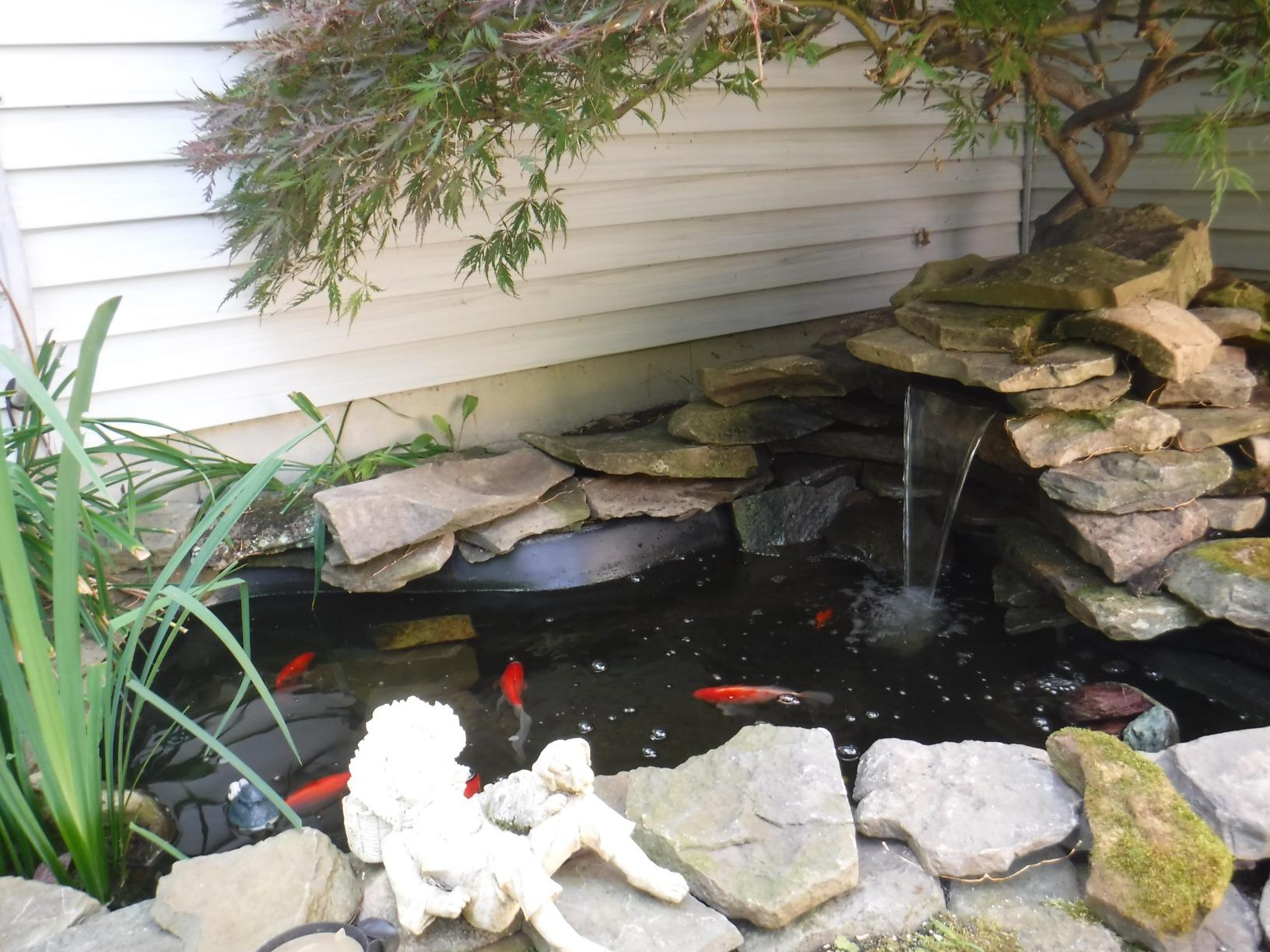 TetraPond Water Garden Pump, Powers Waterfalls/Filters/Fountain Heads, Black, 50 to 500 Gallons customer photo 2