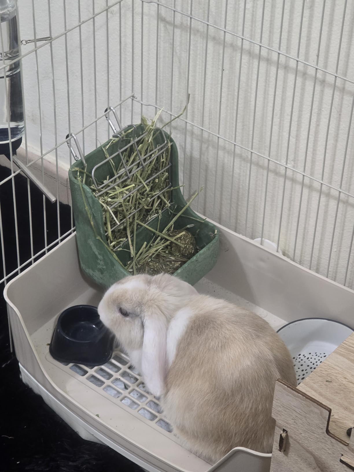 Kaytee Hay & Food Bin Feeder With Quick Locks For Pet Rabbits, Chinchillas, Guinea Pigs and Other Small Animals customer photo 1