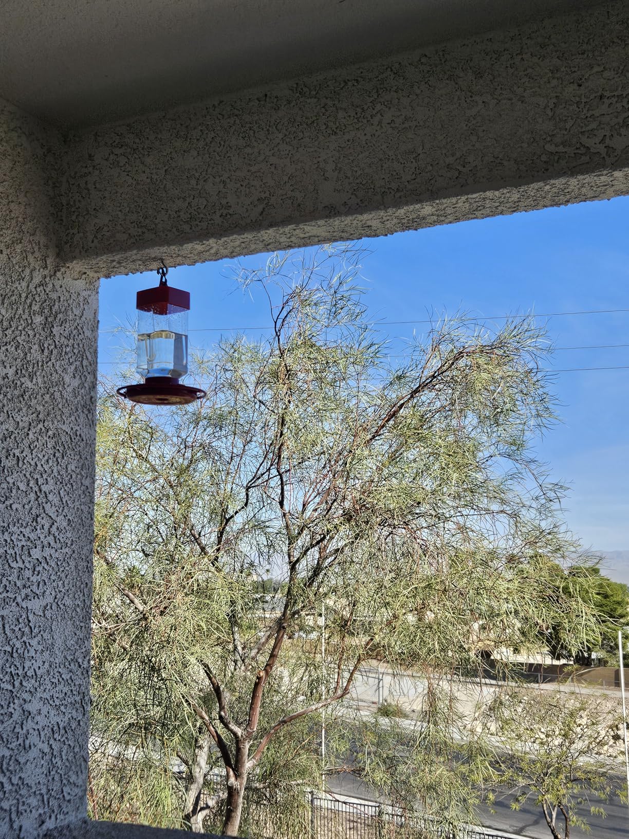 First Nature 993051-546 16 oz. Hummingbird Feeder, Red customer photo 1