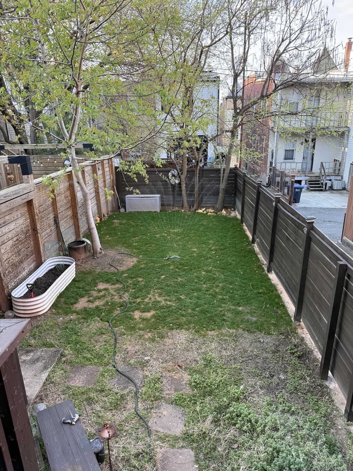 Jonathan Green (10620) Black Beauty Dense Shade Grass Seed - Cool Season Lawn Seed (7 lb) customer photo 1