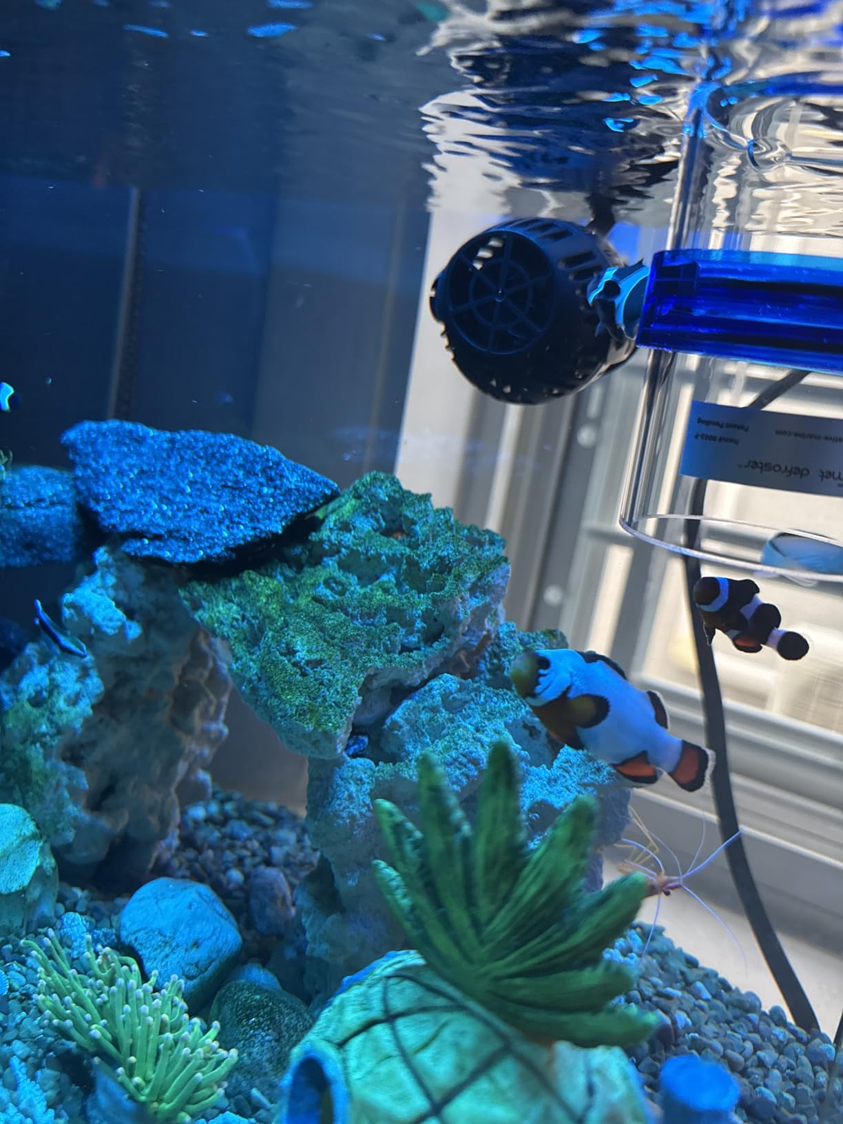 Fluval Sea CP1 Wave Maker Circulation Pump for Freshwater & Saltwater Aquariums, 14345 customer photo 2