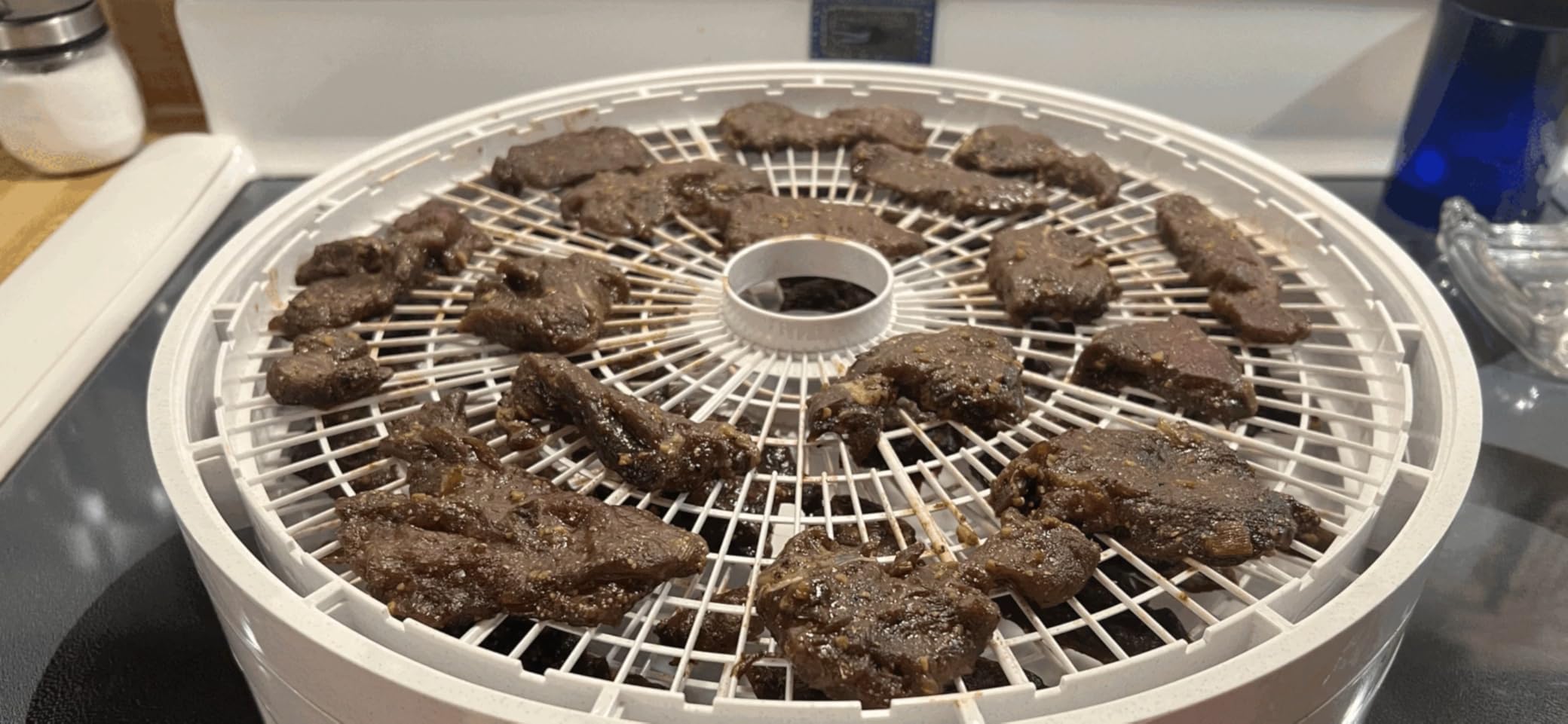 Nesco FD-1040 Gardenmaster Digital Pro Food Dehydrator, for Beef Jerky, Fruit, Herbs, and Snacks, 4 Trays, White customer photo 2