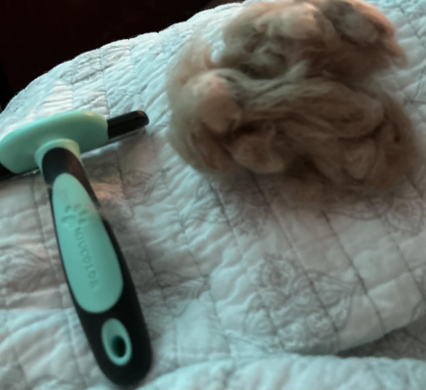 MIU COLOR Pet Grooming Brush, Deshedding Tool for Dogs & Cats, Effectively Reduces Shedding by up to 95% for Short Medium and Long Pet Hair customer photo 1
