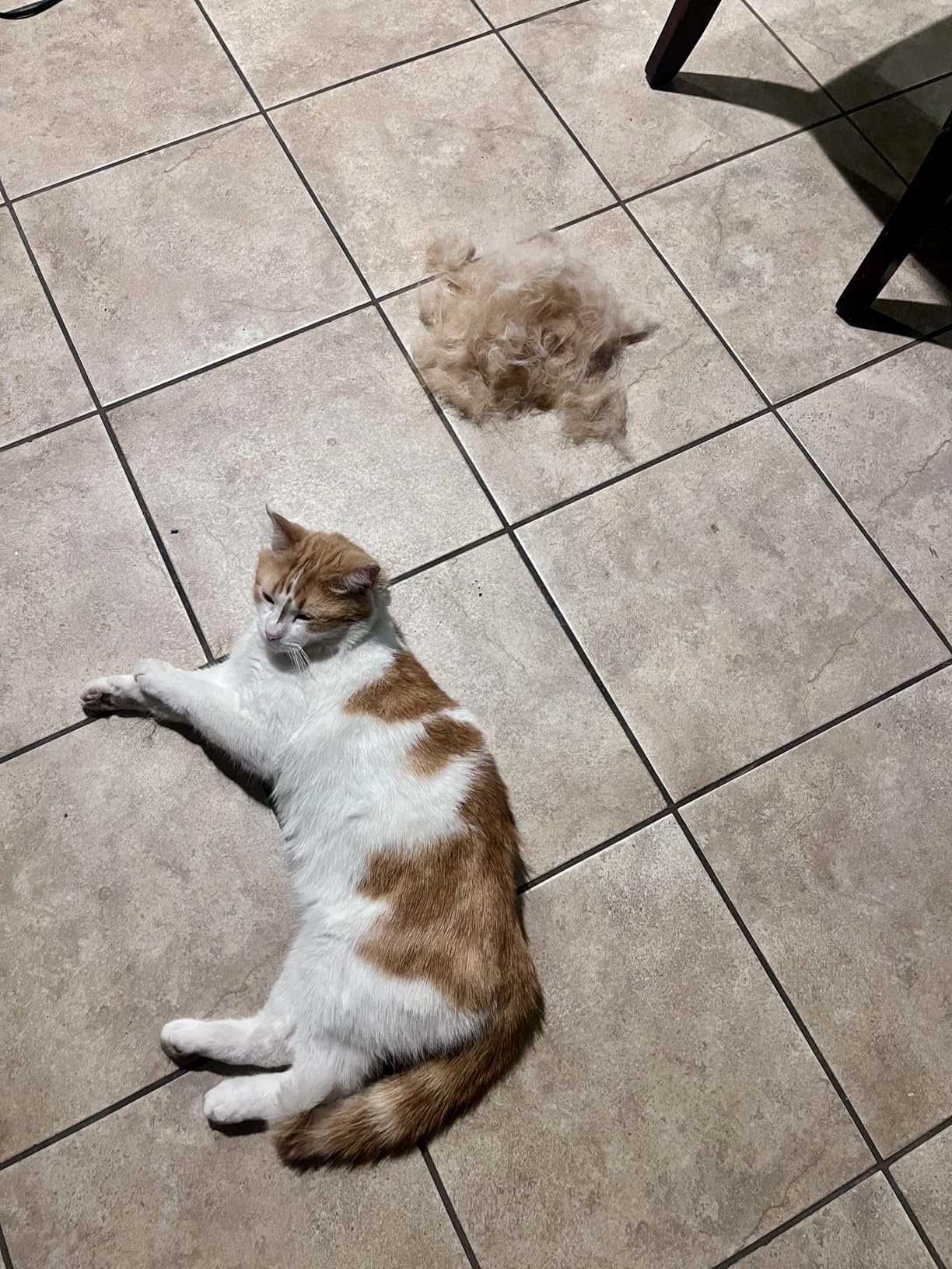 MIU COLOR Pet Grooming Brush, Deshedding Tool for Dogs & Cats, Effectively Reduces Shedding by up to 95% for Short Medium and Long Pet Hair customer photo 2