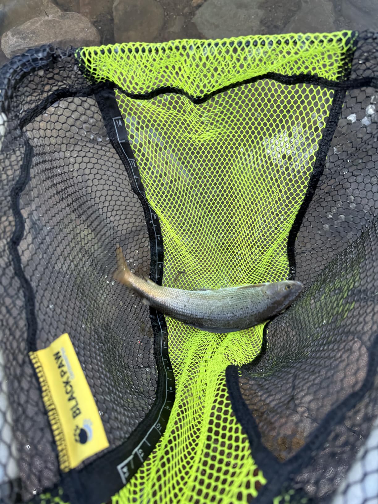 DRAGONtail Shadowfire 365 12' Tenkara Fly Fishing Rod customer photo 2