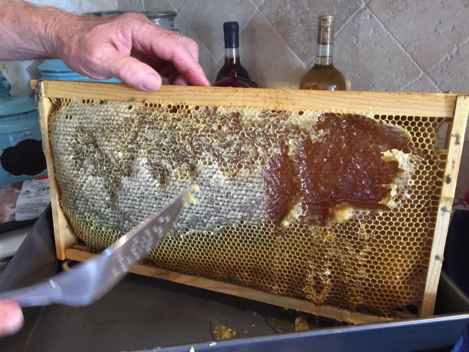 Little Giant Beehive Feeder Frame | Bee Feeder for Hives | Syrup Frame for Beekeeping | Made in USA | 3 Quart customer photo 1