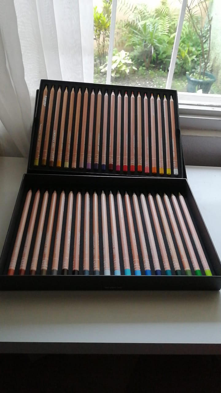 Caran d'Ache Luminance Colored Pencil Set of 40 - Premium Professional Artist Pencils customer photo 2