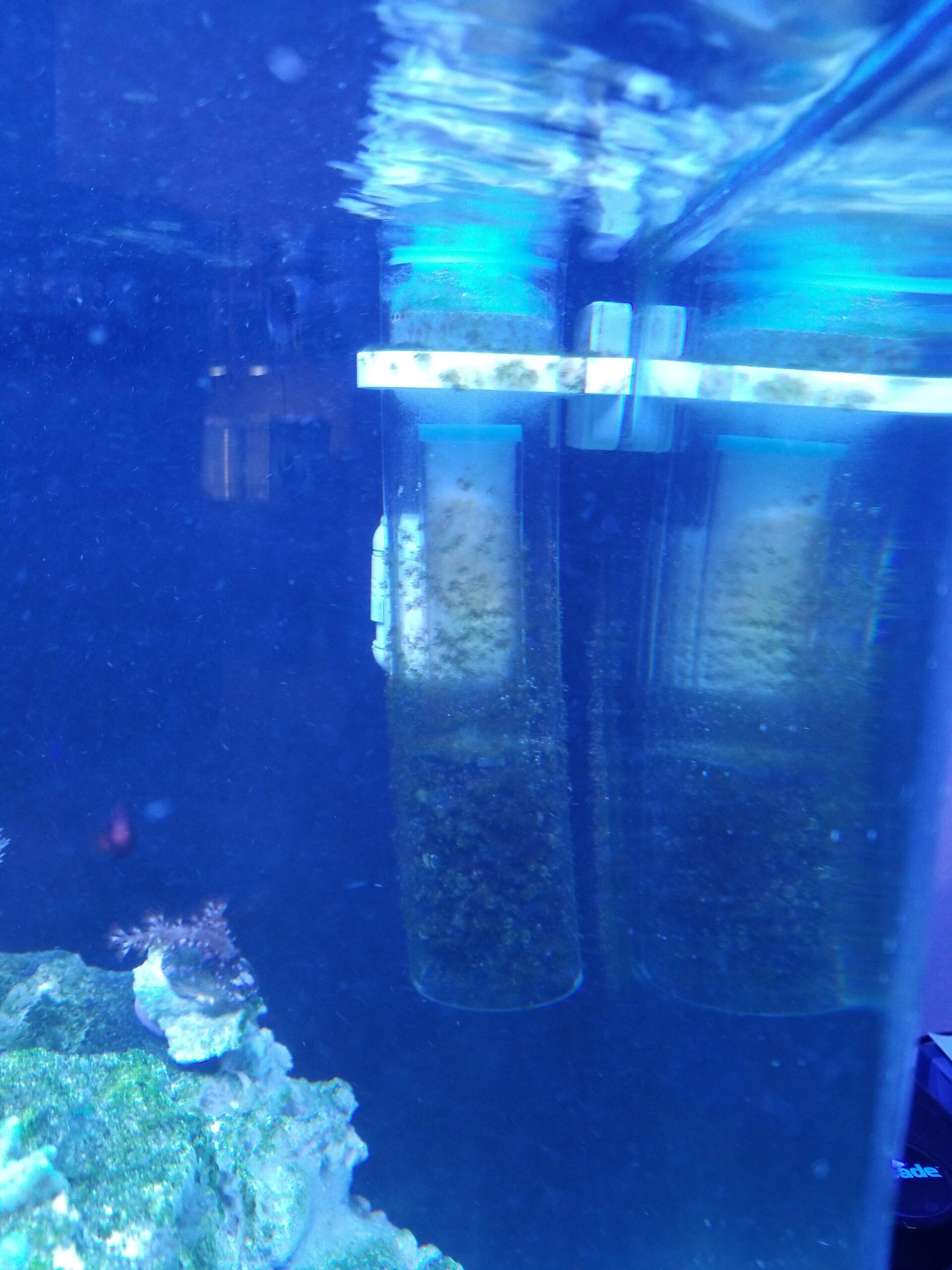 ESHOPPS Nano Skimmer | Protein Skimmer for Nano Tanks | Adjustable Magnetic Mount customer photo 1