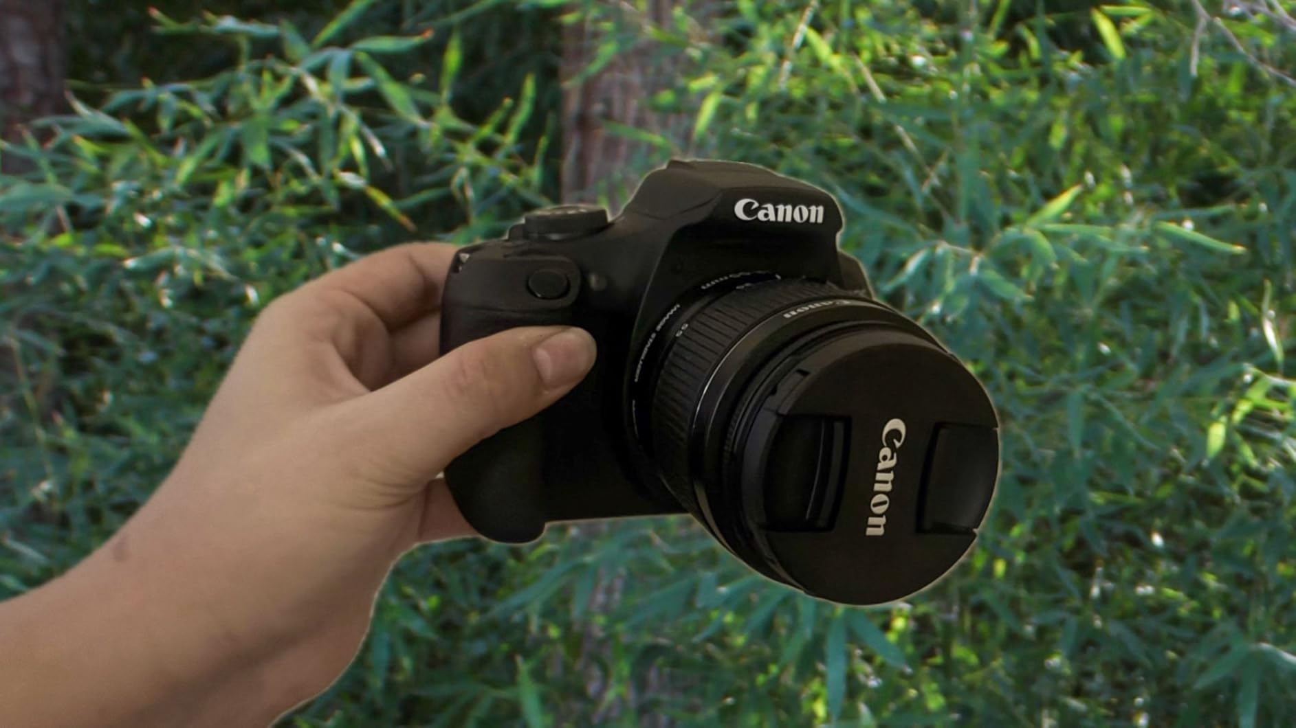 Canon EOS Rebel T7 DSLR Camera 2 Lens Kit with EF18-55mm + EF 75-300mm Lens customer photo 1