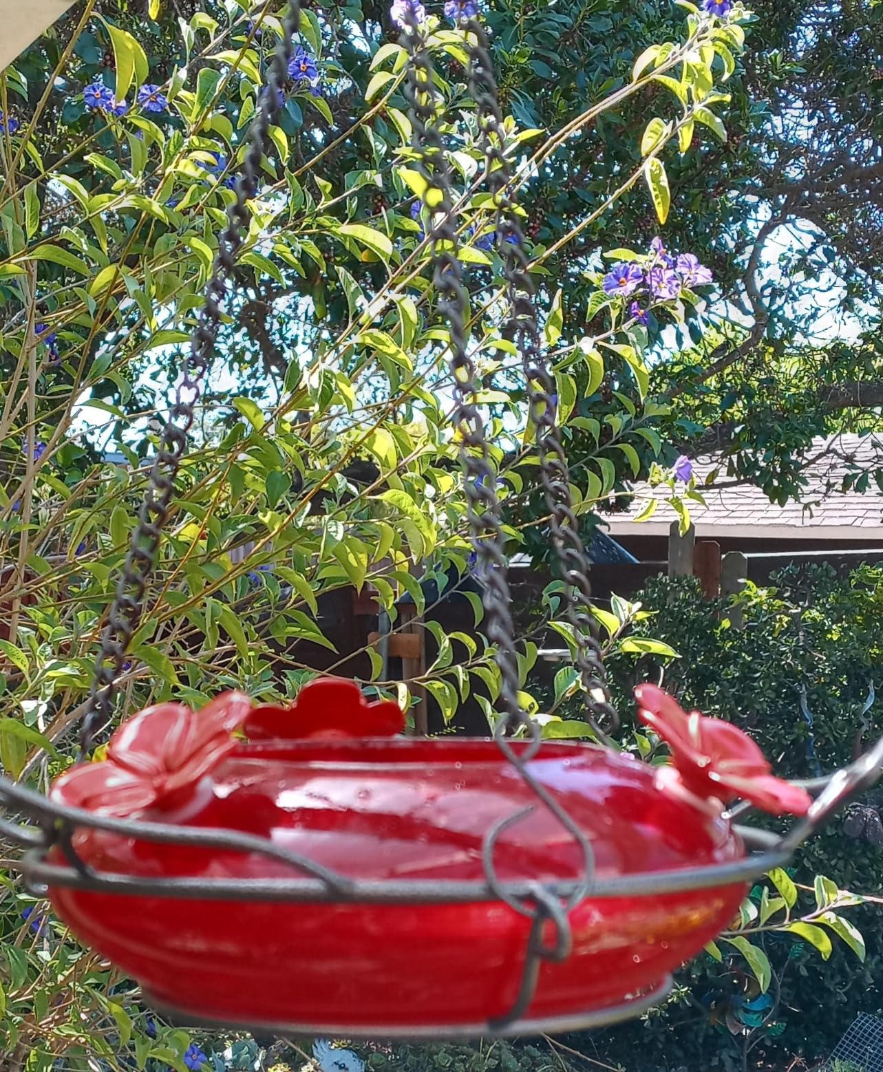 Nature's Way Bird Products GHF7 Hand Blown Illuminated Top Fill Hummingbird Feeder customer photo 1
