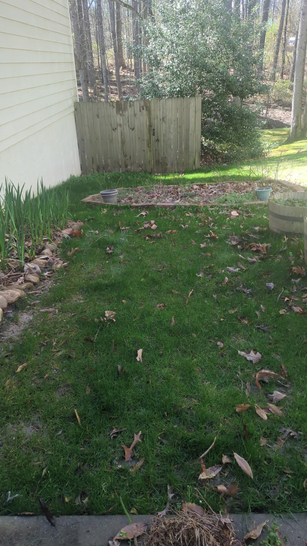 Scotts EZ Seed Patch & Repair for Sun and Shade Combination Mulch, Sun and Shade Grass Seed and Fertilizer for Bare Spots and Repair, Grows Anywhere, 10 lbs. customer photo 2