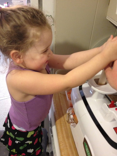 Tribest Greenstar GSE-5050 Elite Twin Gear Cold Press Slow Masticating Juicer (Chrome) customer photo 2