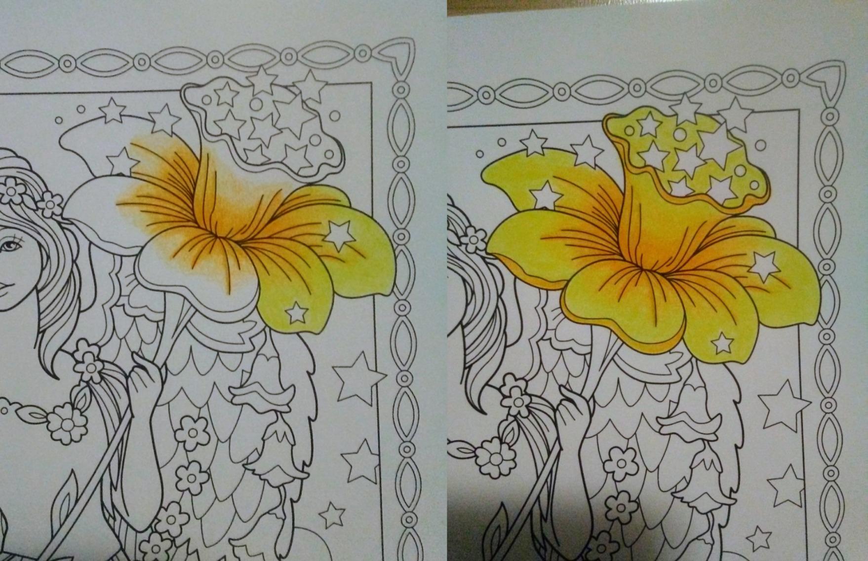 Crayola Colored Pencils For Adults (50ct), Colored Pencil Set for Adult Coloring Books, Coloring Set, Gift for Teens & Adults [Amazon Exclusive] customer photo 2