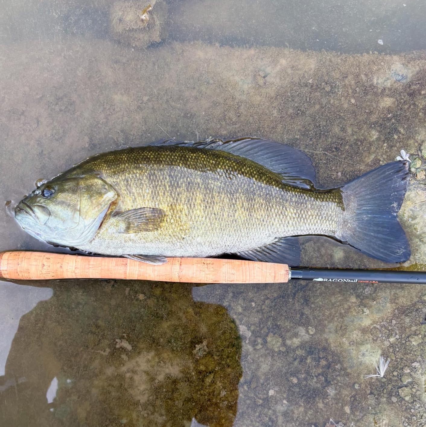 Hellbender Zoom 13' / 11.3' Tenkara Fly Fishing Rod customer photo 2