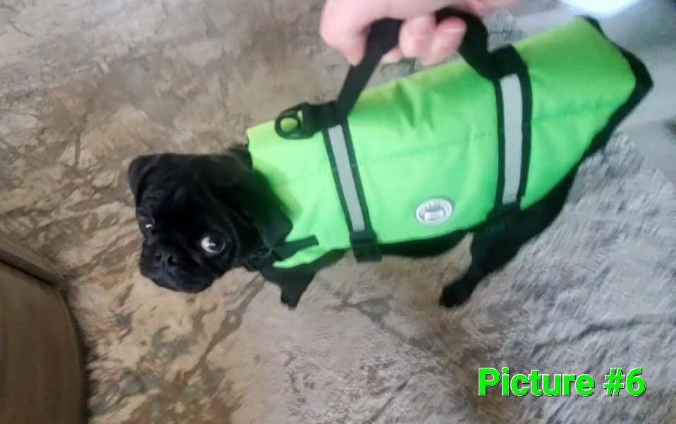 VIVAGLORY Rip Stop Dog Life Vest, Swimming Vest with Handle, Buoyancy for Doggy Puppy, Dog Life Jacket for Swimming & Boating, L, Pink customer photo 2