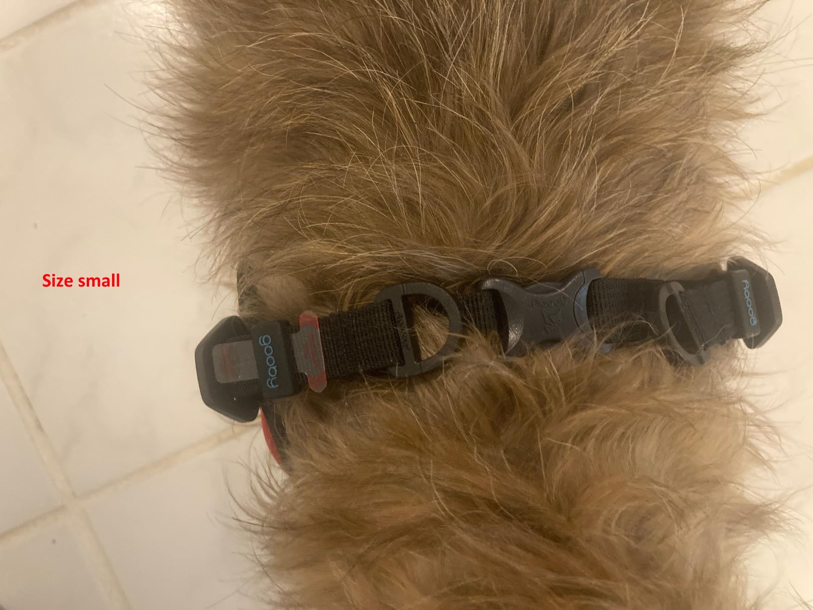 Gooby Escape Free Easy Fit Harness - Red, Small - No Pull Step-in Patented Dog Harness with Quick Release Buckle for Small to Medium Dogs customer photo 2