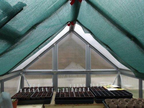 Palram - Canopia 6x10 Greenhouse Kit, Hobby Walk-In Twin-Wall UV Polycarbonate Heavy Duty Aluminum Frame, Lockable Door, Adjustable Roof Vent, Rain Gutters, Galvanized Steel Base, Mythos (Silver) customer photo 1