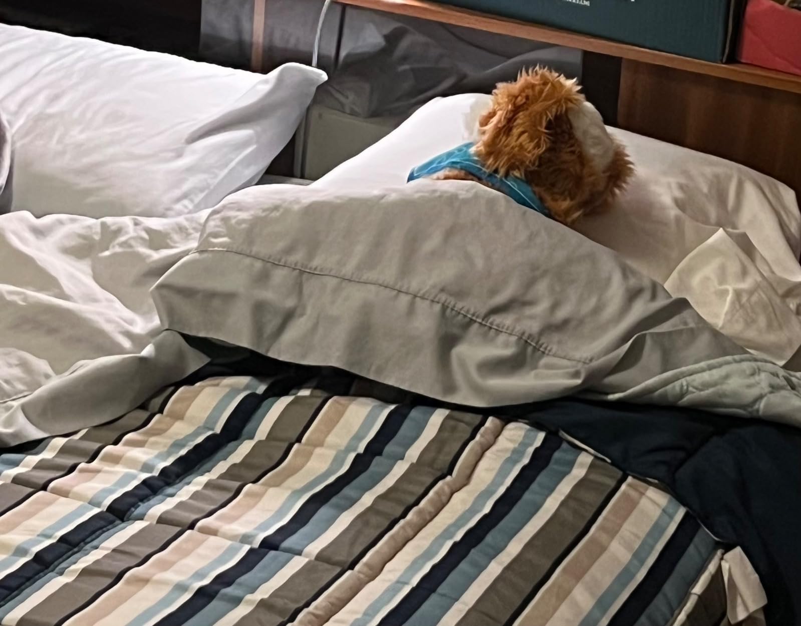 JOY FOR ALL Ageless Innovation Companion Pet for Seniors - Lifelike Animatronic Dog - Realistic Soft-Touch Coat & Heartbeat - Therapy Stuffed Animal - Toy for Alzheimer's & Dementia - Golden Pup customer photo 2