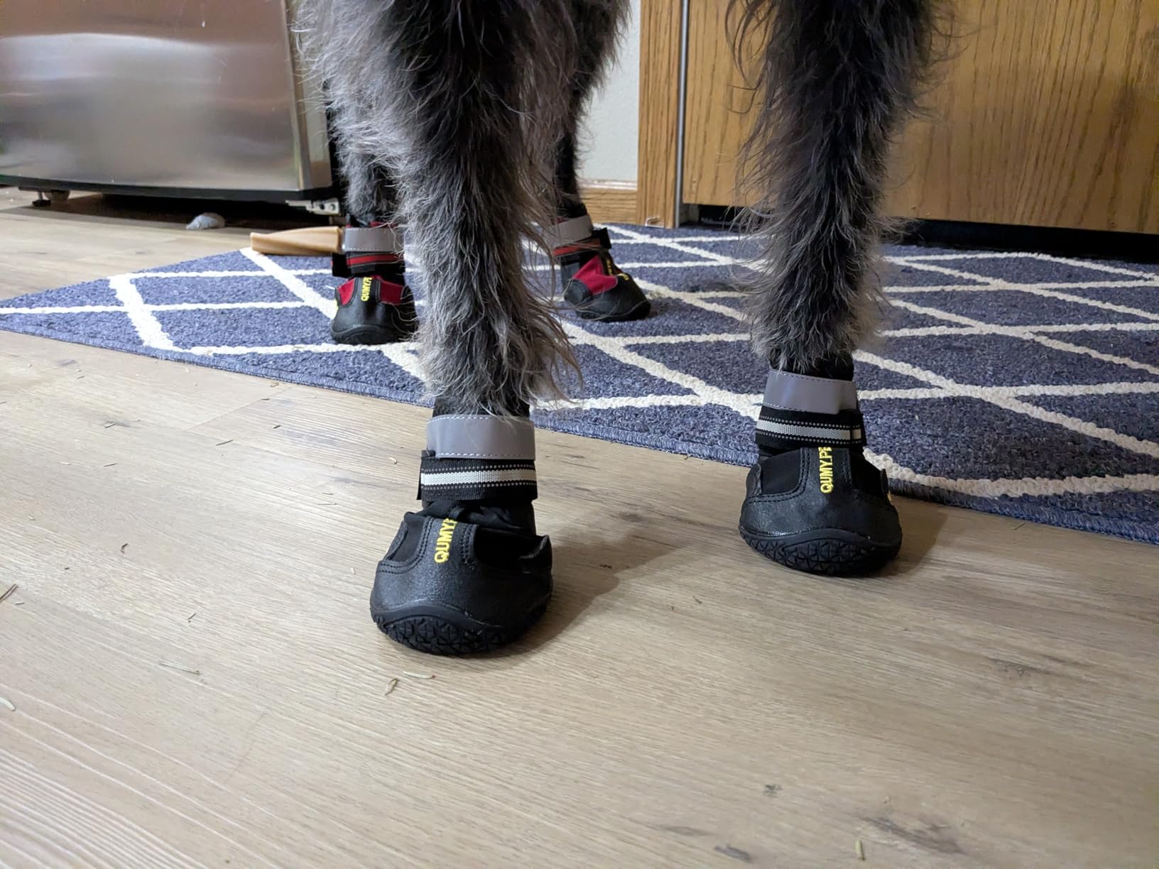 QUMY Dog Shoes for Large Dogs, Medium Dog Boots & Paw Protectors for Winter Snowy Day, Summer Hot Pavement, Water-Resistant customer photo 2