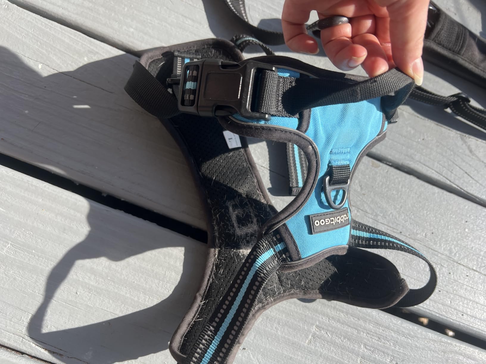 rabbitgoo Dog Harness No Pull with 2 Leash Clips, Adjustable Soft Padded, Reflective Oxford No Choke Pet Vest with Easy Control Handle for Small Dogs, Black, S customer photo 2
