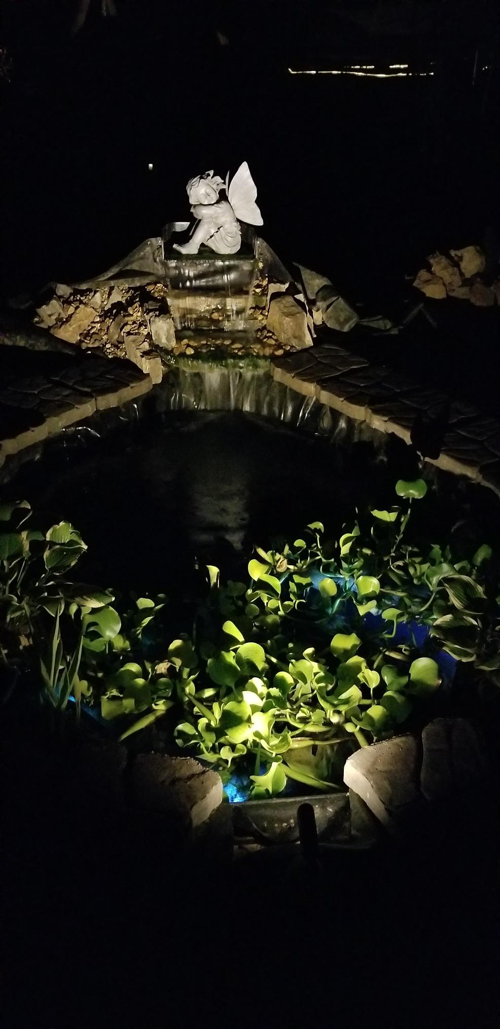 HALF OFF PONDS Savio Select 3,000 GPH Submersible Pump Pond Kit with 20' x 25' EPDM Rubber Pond Liner for Water Garden & Koi Pond customer photo 1