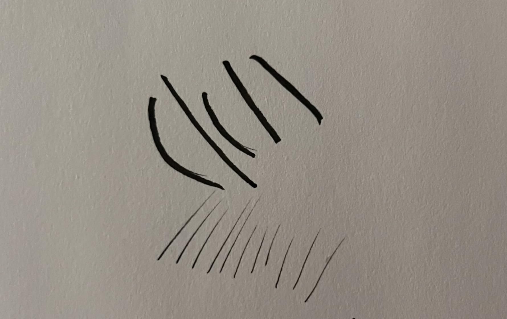 Kuretake Bimoji Brush Pen, 5 pcs set (Extra Fine, Fine, Medium, Large, Medium Brush), great for Calligraphy, Hand lettering and Illustration customer photo 2