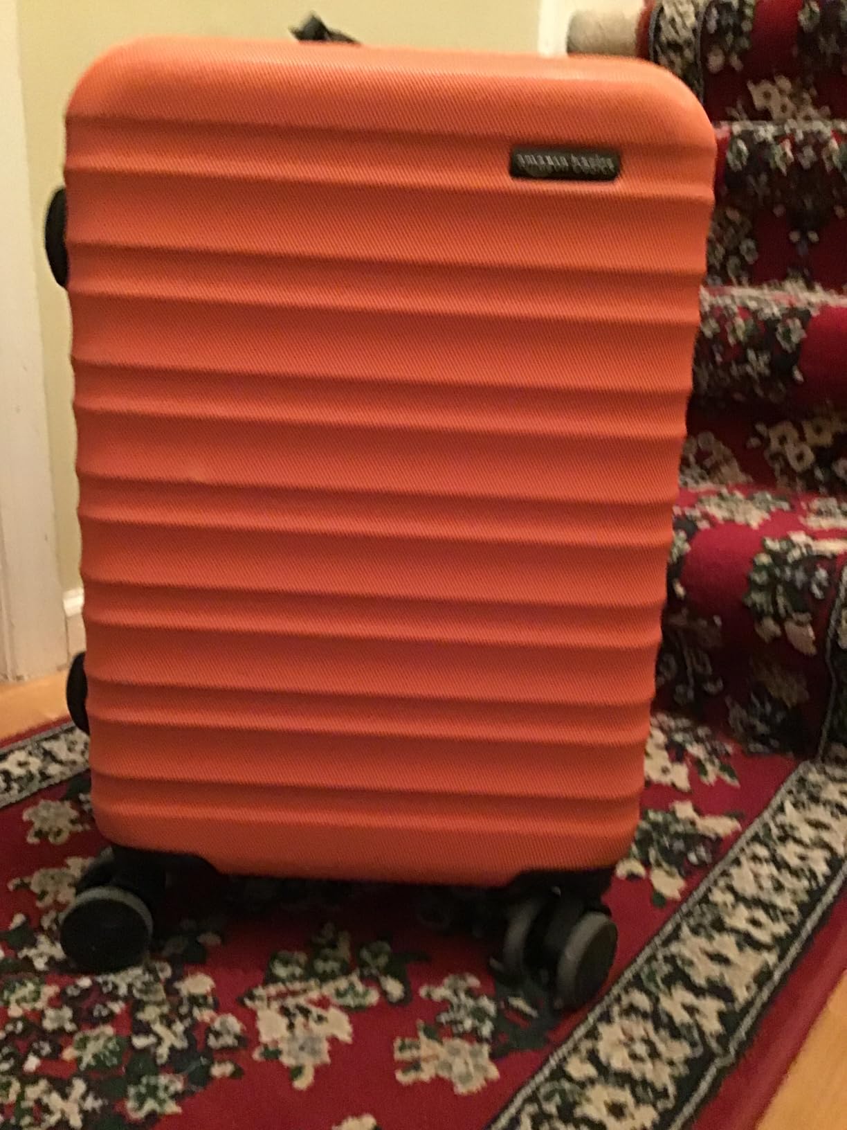 Amazon Basics 21