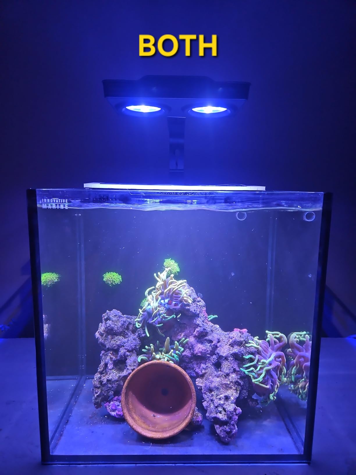 Aquarium Light -3rd Generation A029 Aquarium LED Light 30 Watts Saltwater Light with Touch Control, 5W LED Chips for Coral Reef Nano Fish Tank Marine Tanks with Timer & Screen customer photo 2