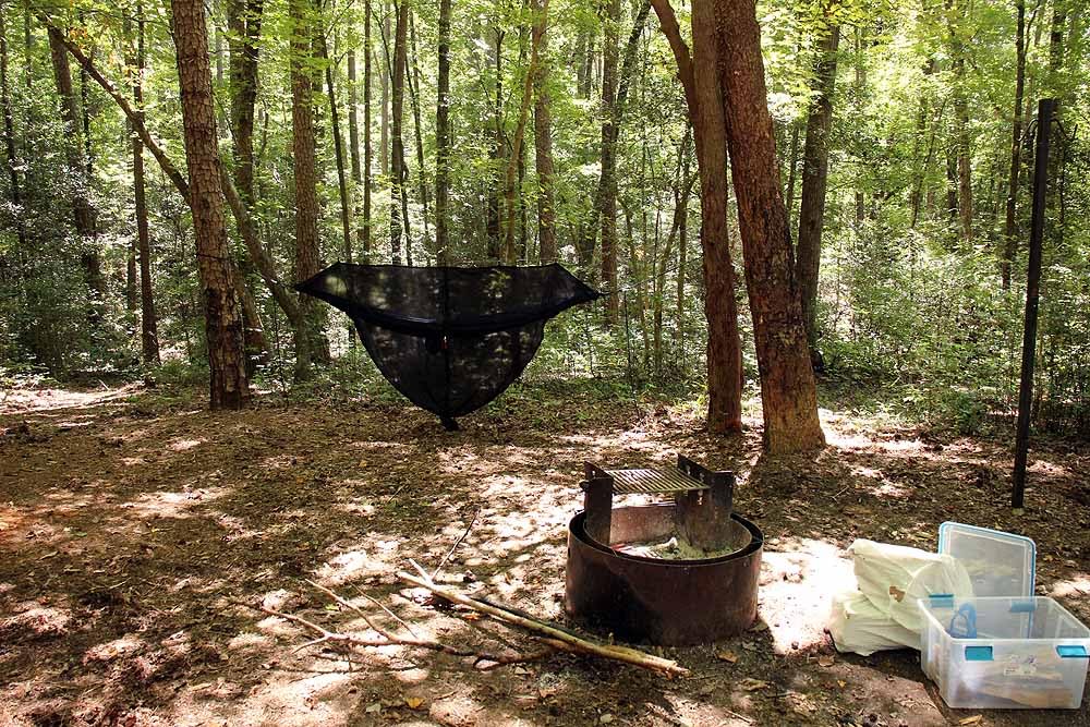 Wise Owl Outfitters Hammock Bug Net - Mosquito Net for Hammock, Lightweight Bug Netting for Camping, Hiking, Backpacking customer photo 1