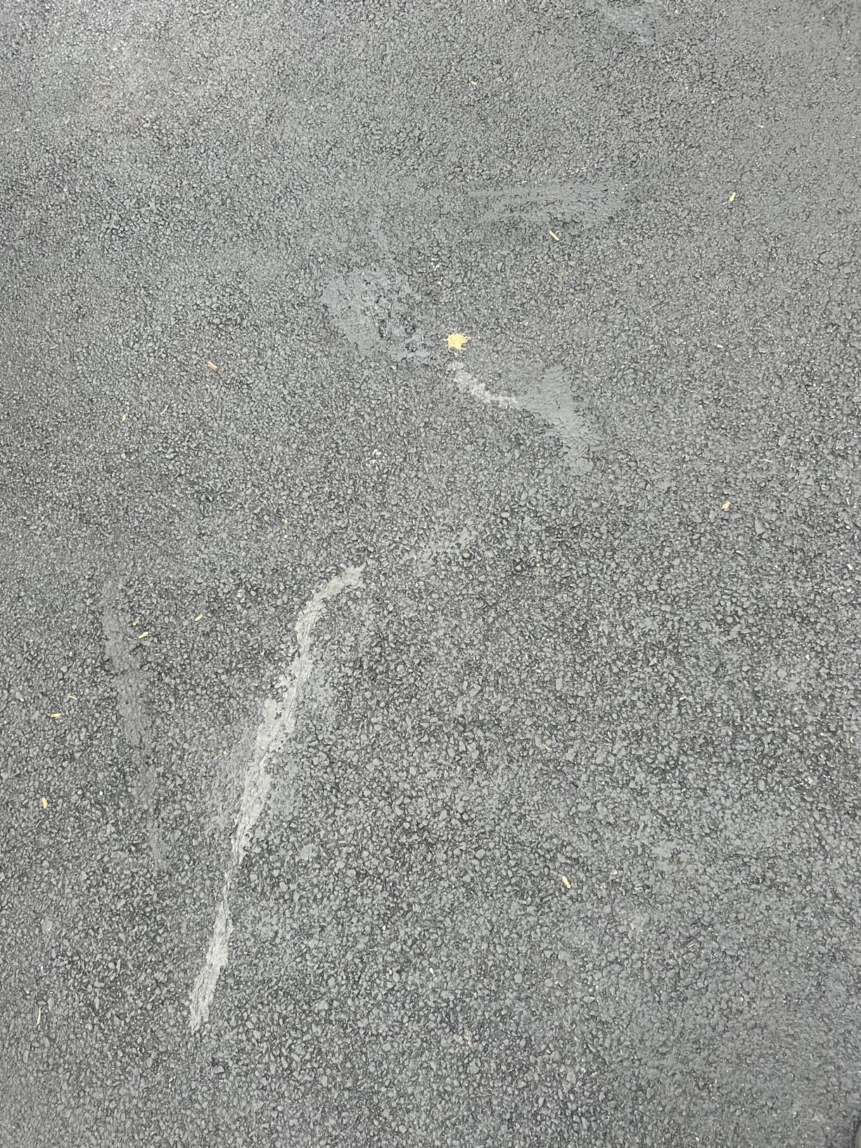 Bluestar Flexible Asphalt Crack Filler, DIY - No Special Tools Needed, Fill Cracks in Asphalt Driveways and Parking Lots. 16 fl. oz. Bottle. customer photo 1