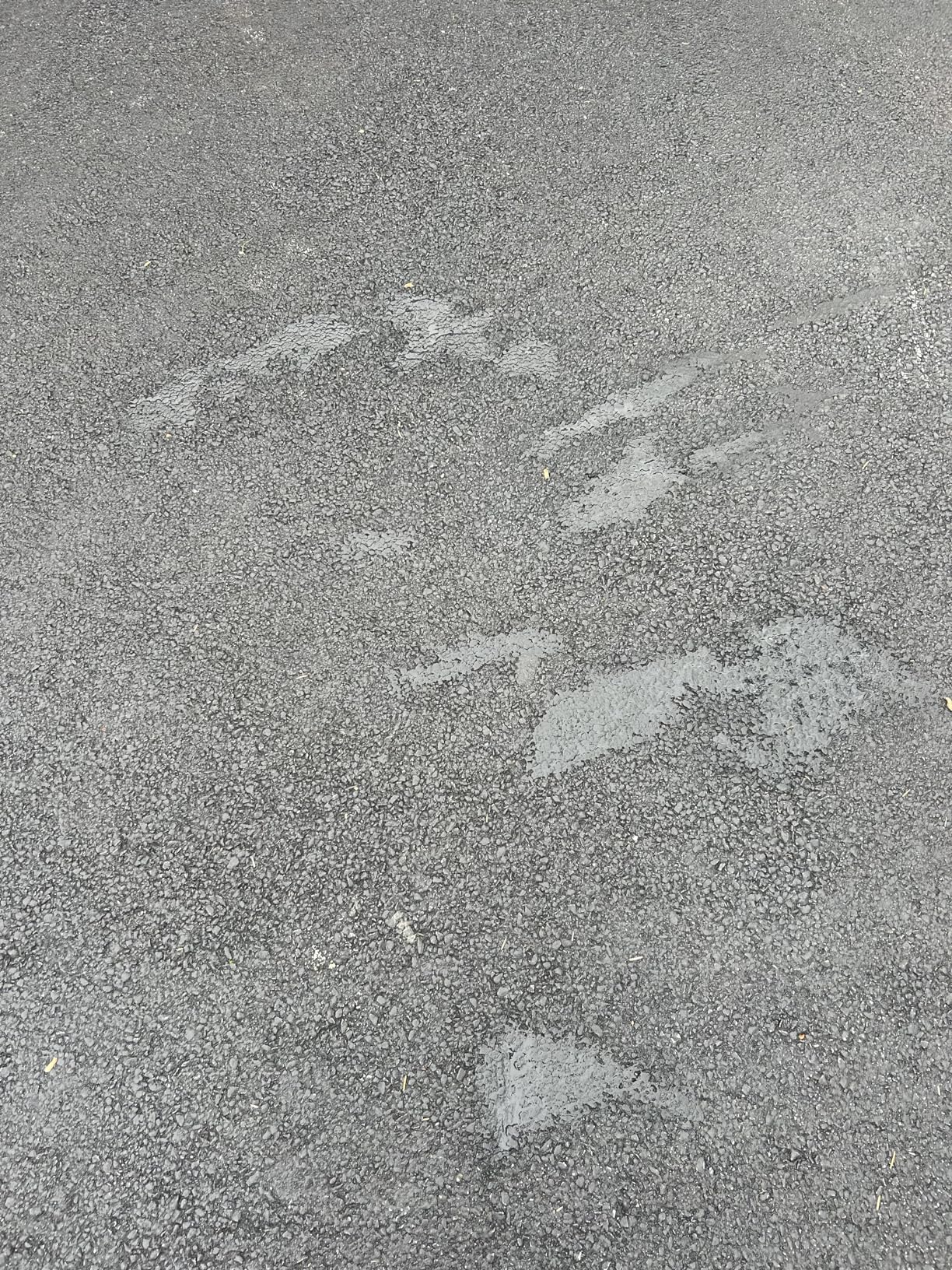 Bluestar Flexible Asphalt Crack Filler, DIY - No Special Tools Needed, Fill Cracks in Asphalt Driveways and Parking Lots. 16 fl. oz. Bottle. customer photo 2