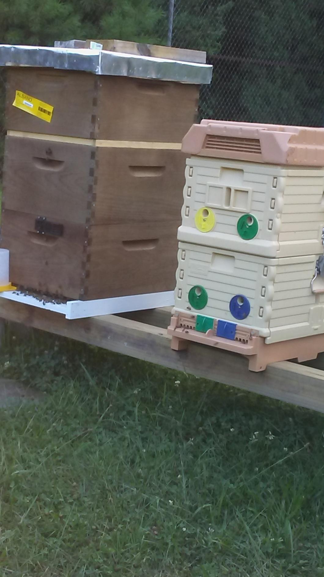Apimaye Insulated 7 Frame Langstroth Nucleus Assembled Bee Hive Set with Core Frames and Foundations [Tan] customer photo 1