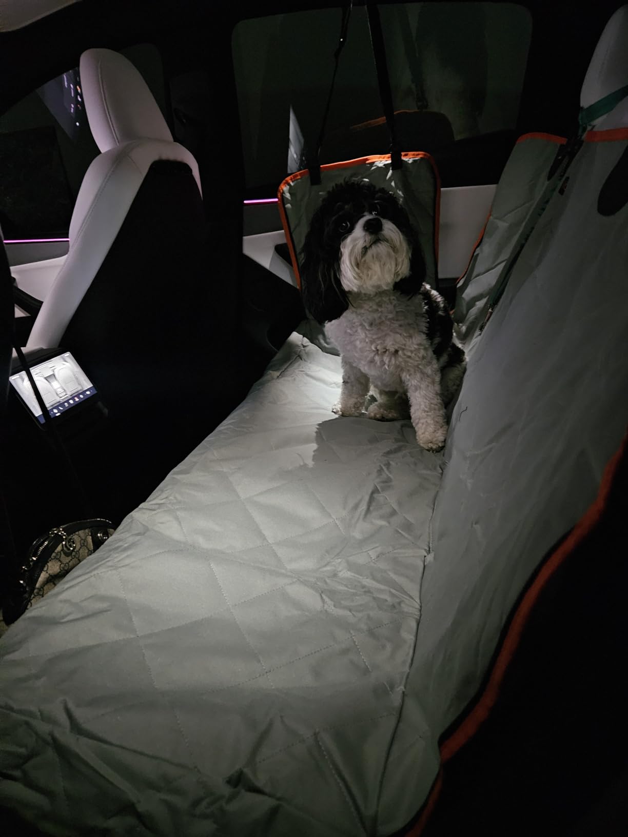 iBuddy Dog Car Seat Cover for Back Seat Waterproof Dog Car Hammock Protects Your Vehicle from Scratches, Hair, and Dirt Easy to Install & Clean Oxford Machine Washable Universal Fit Pet Seat Cover customer photo 1