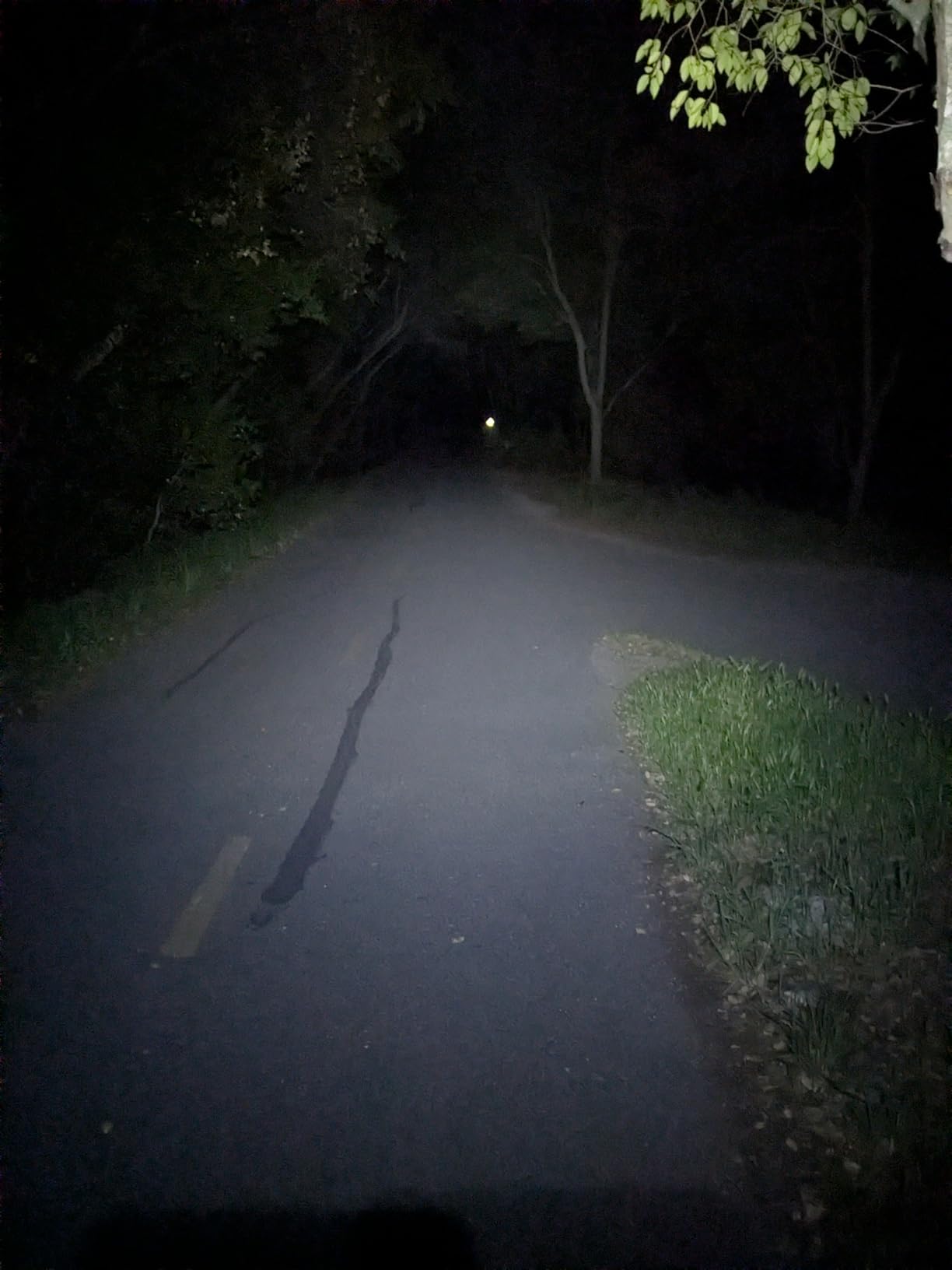 DanForce Headlamp USB Rechargeable LED Head Lamp Ultra Bright 1080 Lumen customer photo 1