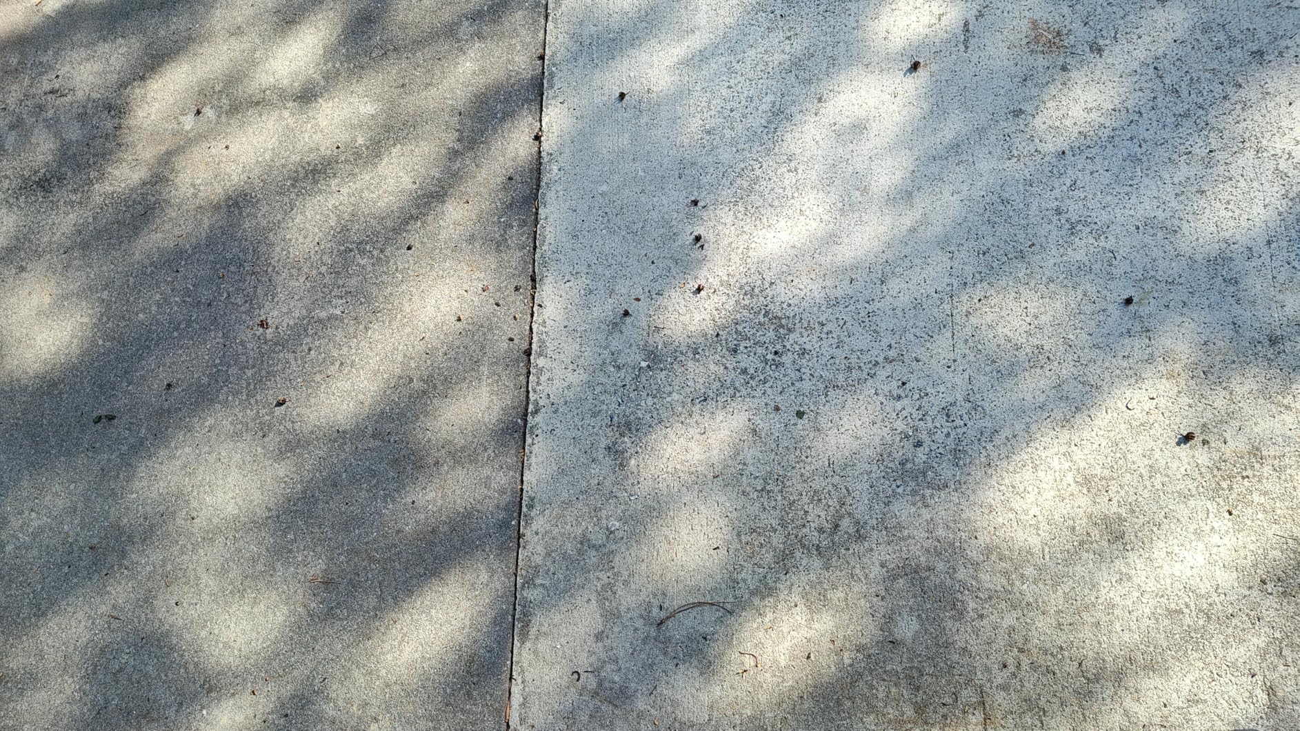 MasonryDefender Concrete Sealer - Deep Penetrating Water Repellent, Silane Siloxane - 1 Gallon customer photo 2