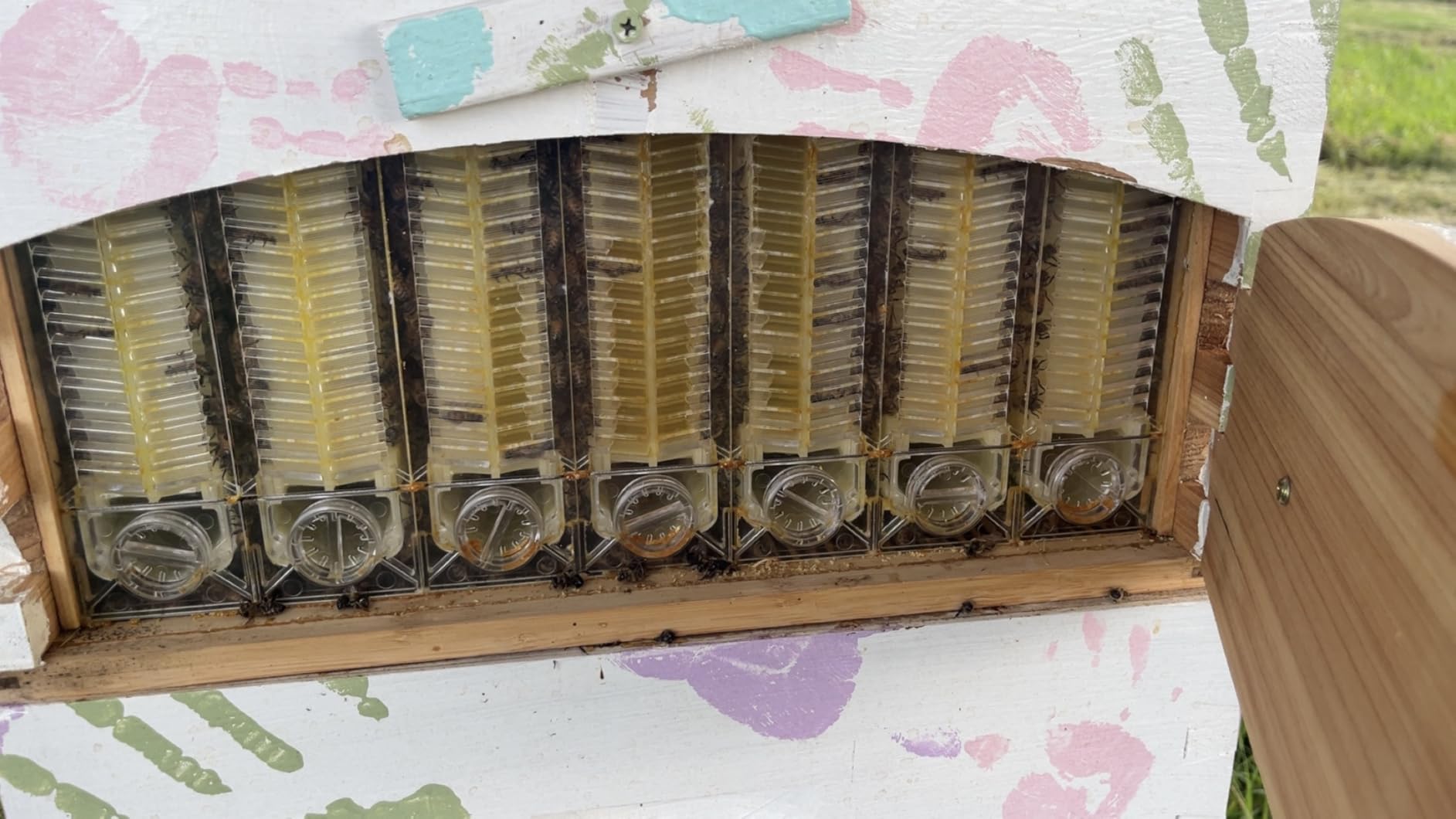 Bee Hive, Beehive with 7pcs Auto Super Frames, Bee House with 1pcs Super Boxes, 1pcs Brood Boxes(No Brood Frames), Bee Hives Starter Beekeeping Kits customer photo 2
