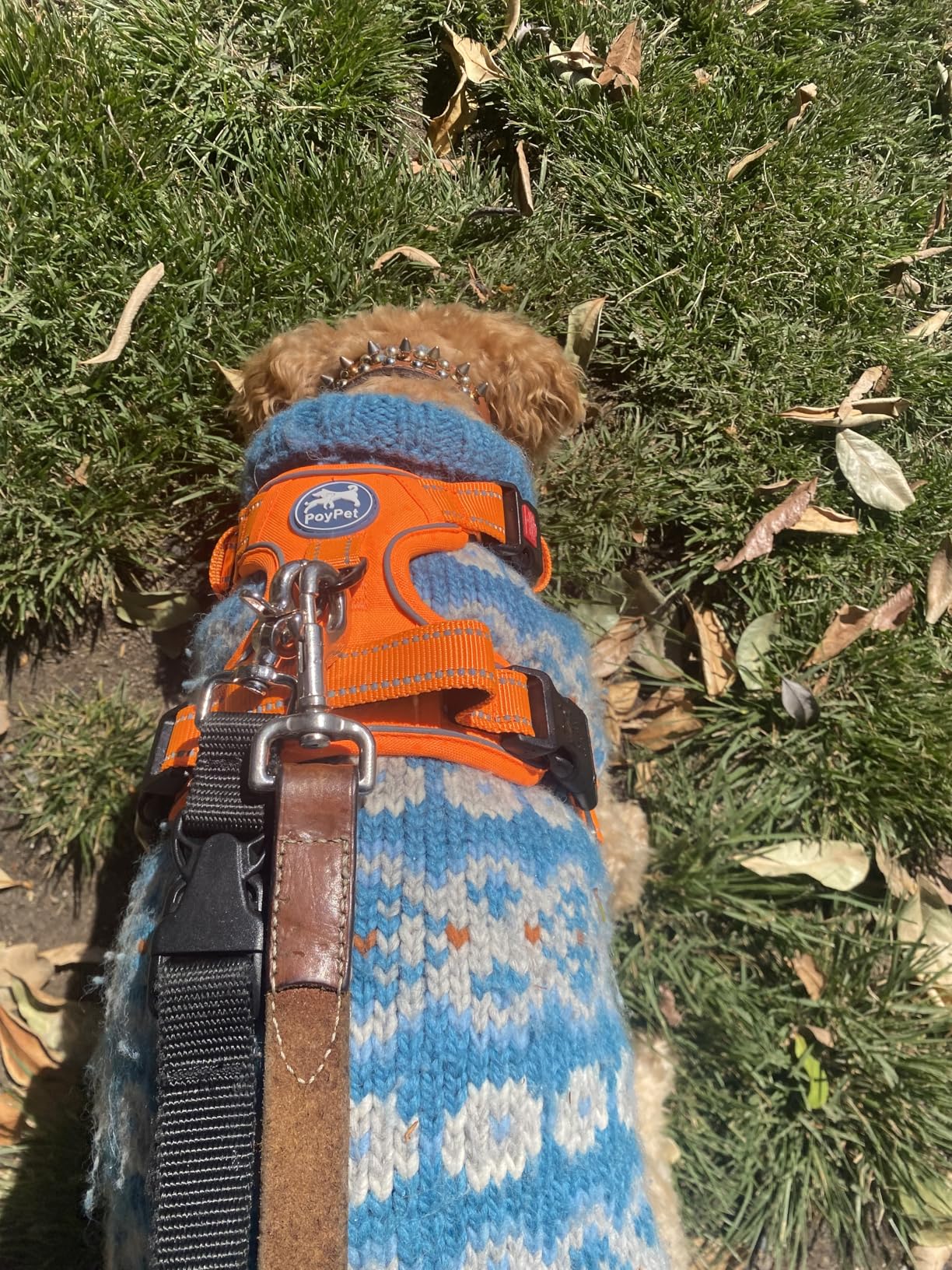 PoyPet No Pull Dog Harness, No Choke Front Lead Dog Reflective Harness, Adjustable Soft Padded Pet Vest with Easy Control Handle for Small to Large Dogs(Pink, Medium) customer photo 2