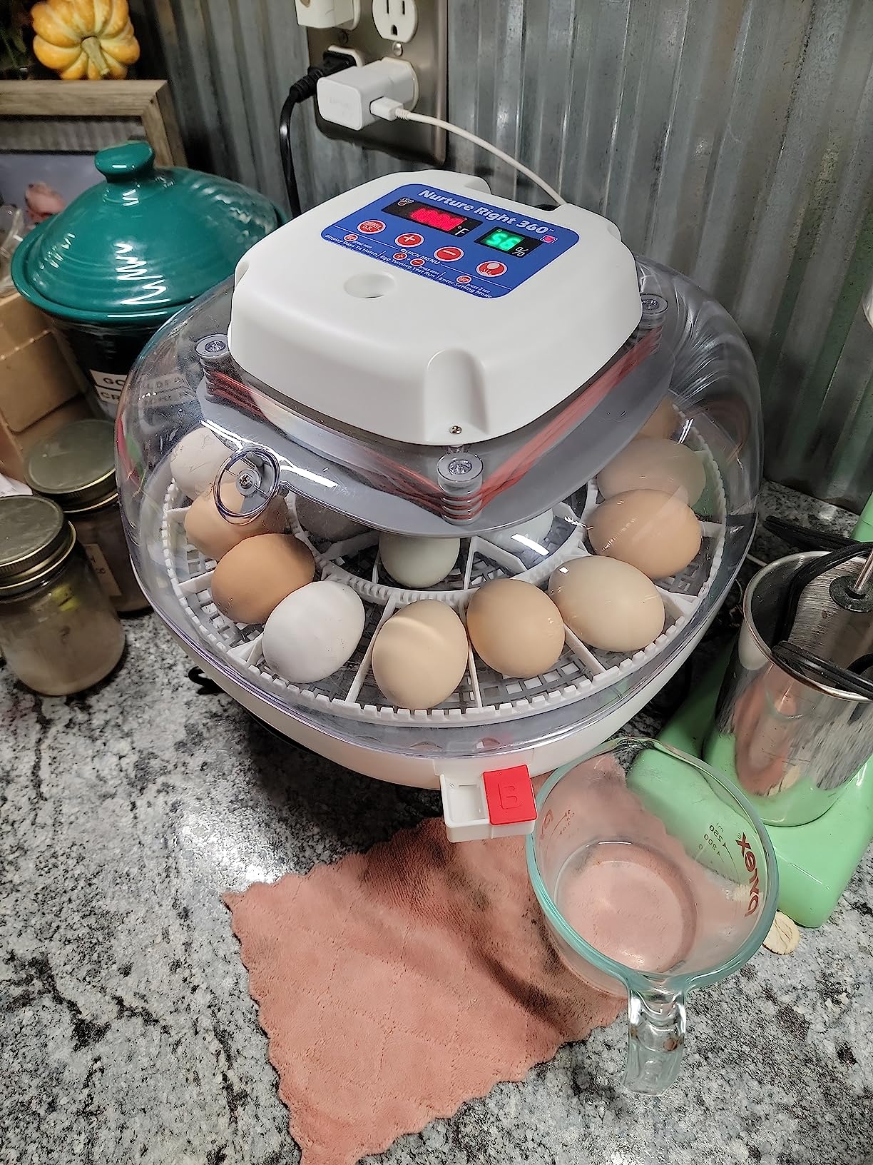 Harris Farms Nurture Right Egg Incubator for Hatching Chicks, Holds 12-22 Eggs, Automatic Turner with Temperature and Humidity Control, 360 Degree View with Clear Window, Incubator for Chickens customer photo 1