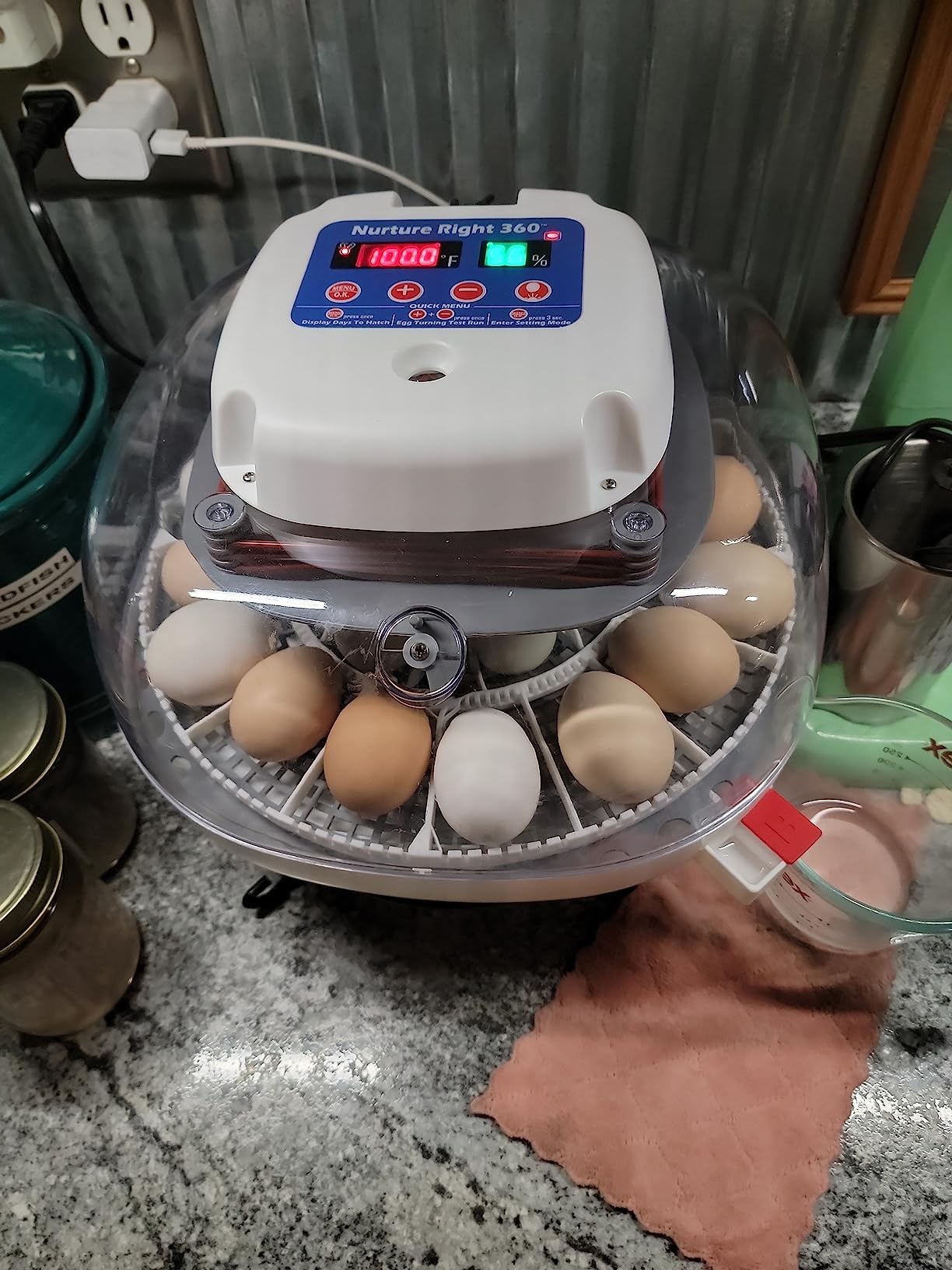 Harris Farms Nurture Right Egg Incubator for Hatching Chicks, Holds 12-22 Eggs, Automatic Turner with Temperature and Humidity Control, 360 Degree View with Clear Window, Incubator for Chickens customer photo 2